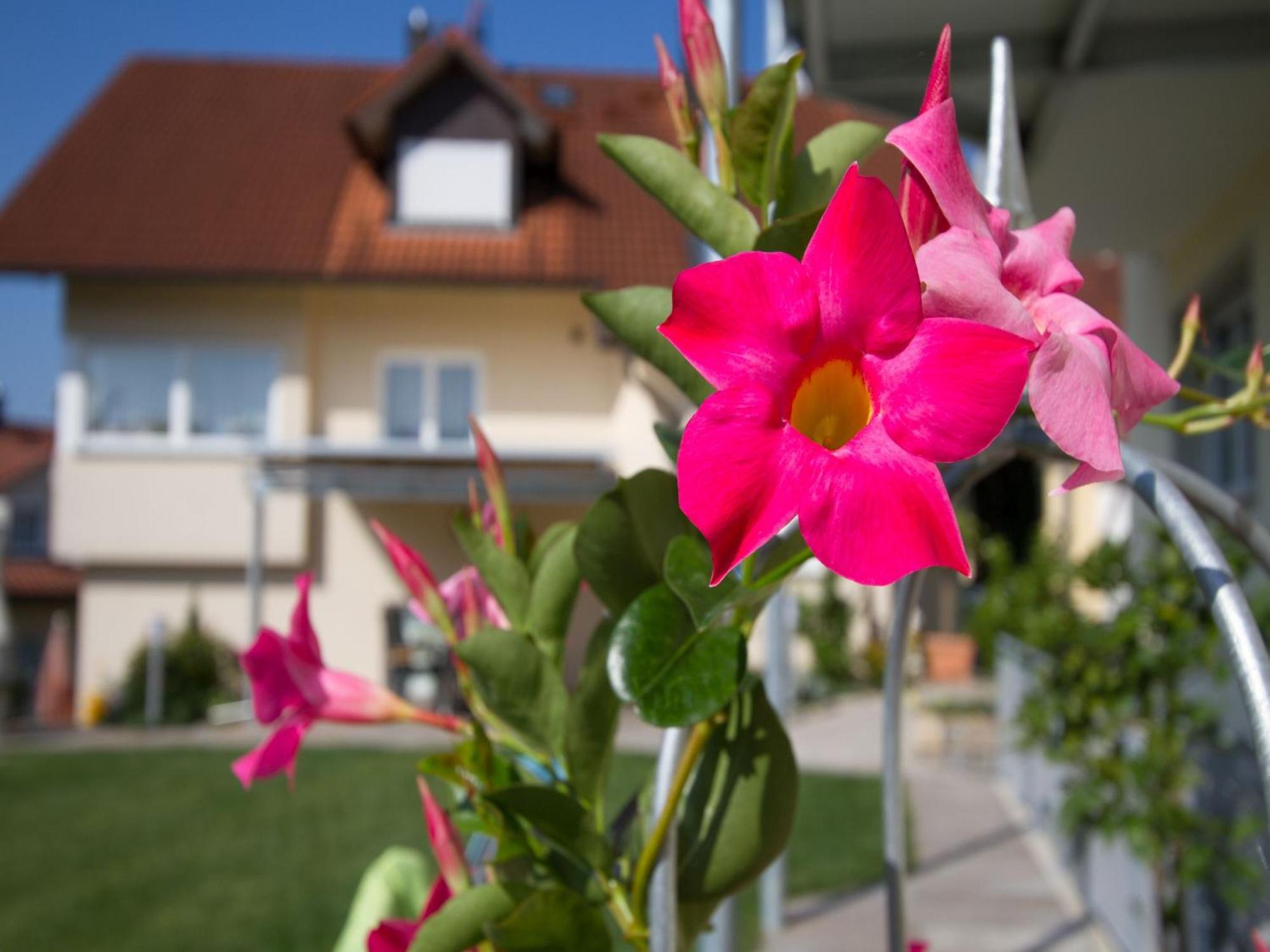 Obst- Und Ferienhof Witzigmann Wasserburg Εξωτερικό φωτογραφία
